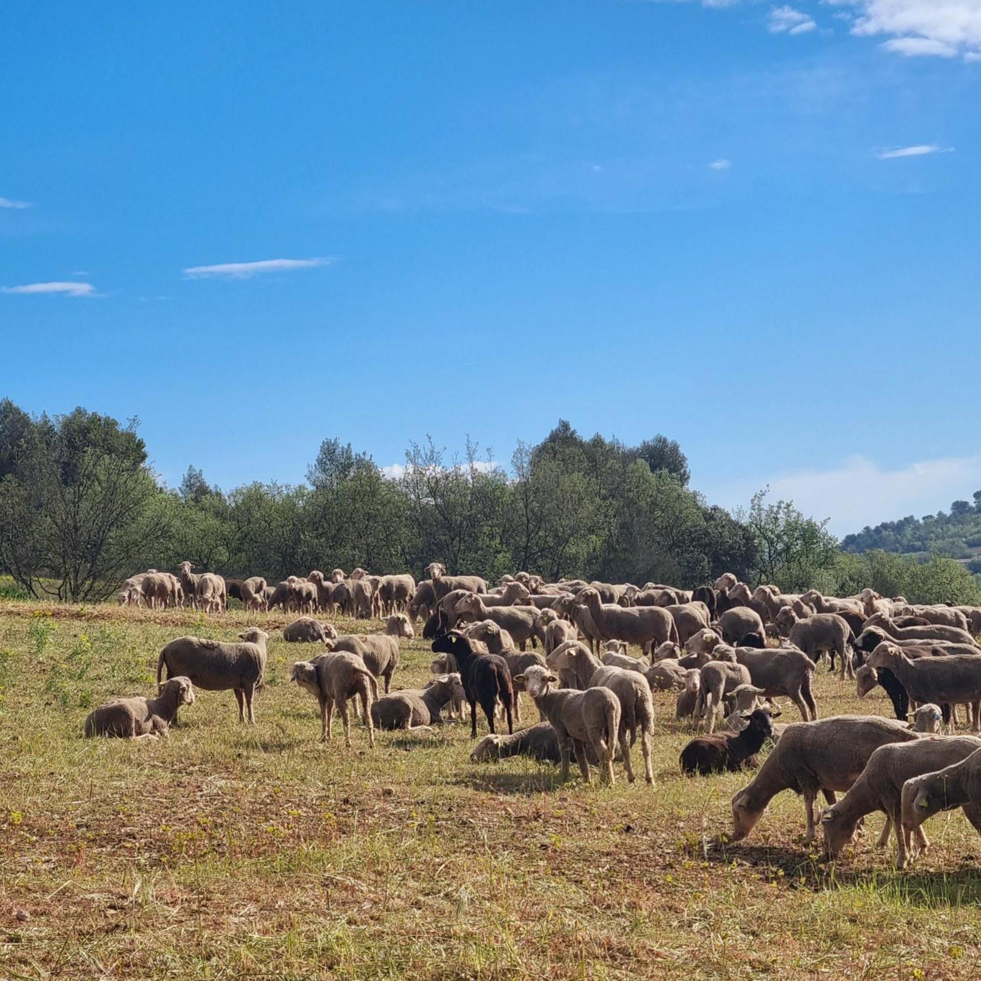 L'Oustaou Du Luberon Et Spa Villelaure Dış mekan fotoğraf