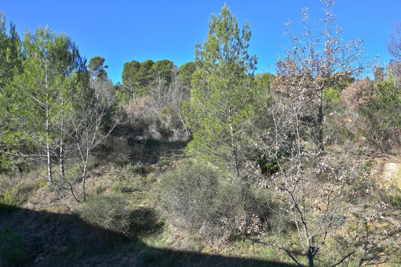 L'Oustaou Du Luberon Et Spa Villelaure Dış mekan fotoğraf