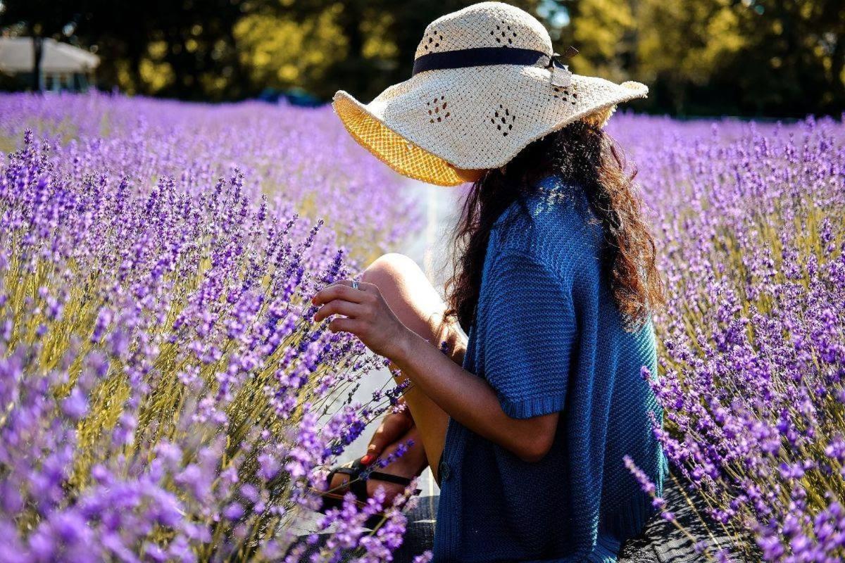 L'Oustaou Du Luberon Et Spa Villelaure Dış mekan fotoğraf